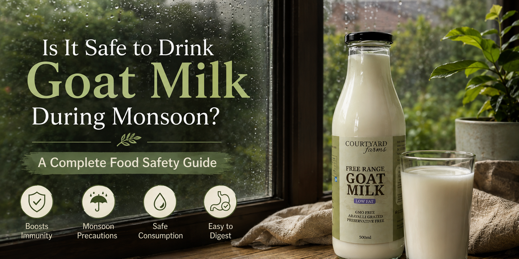 Goat milk during monsoon with fresh goat milk bottle and glass