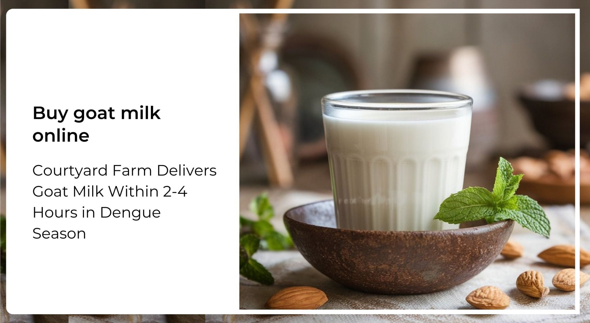 Courtyard Farm Delivers Goat Milk Within 2-4 Hours in Dengue Season - Courtyard Farms