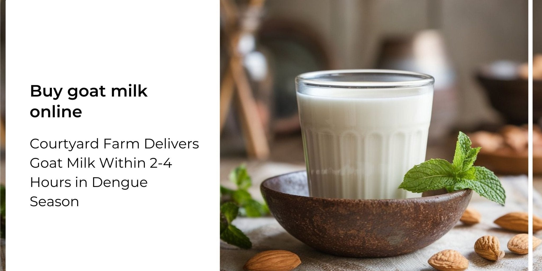 Courtyard Farm Delivers Goat Milk Within 2-4 Hours in Dengue Season - Courtyard Farms