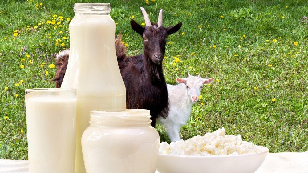 How Can Goat Milk Help With Improving Hair Condition? - Courtyard Farms