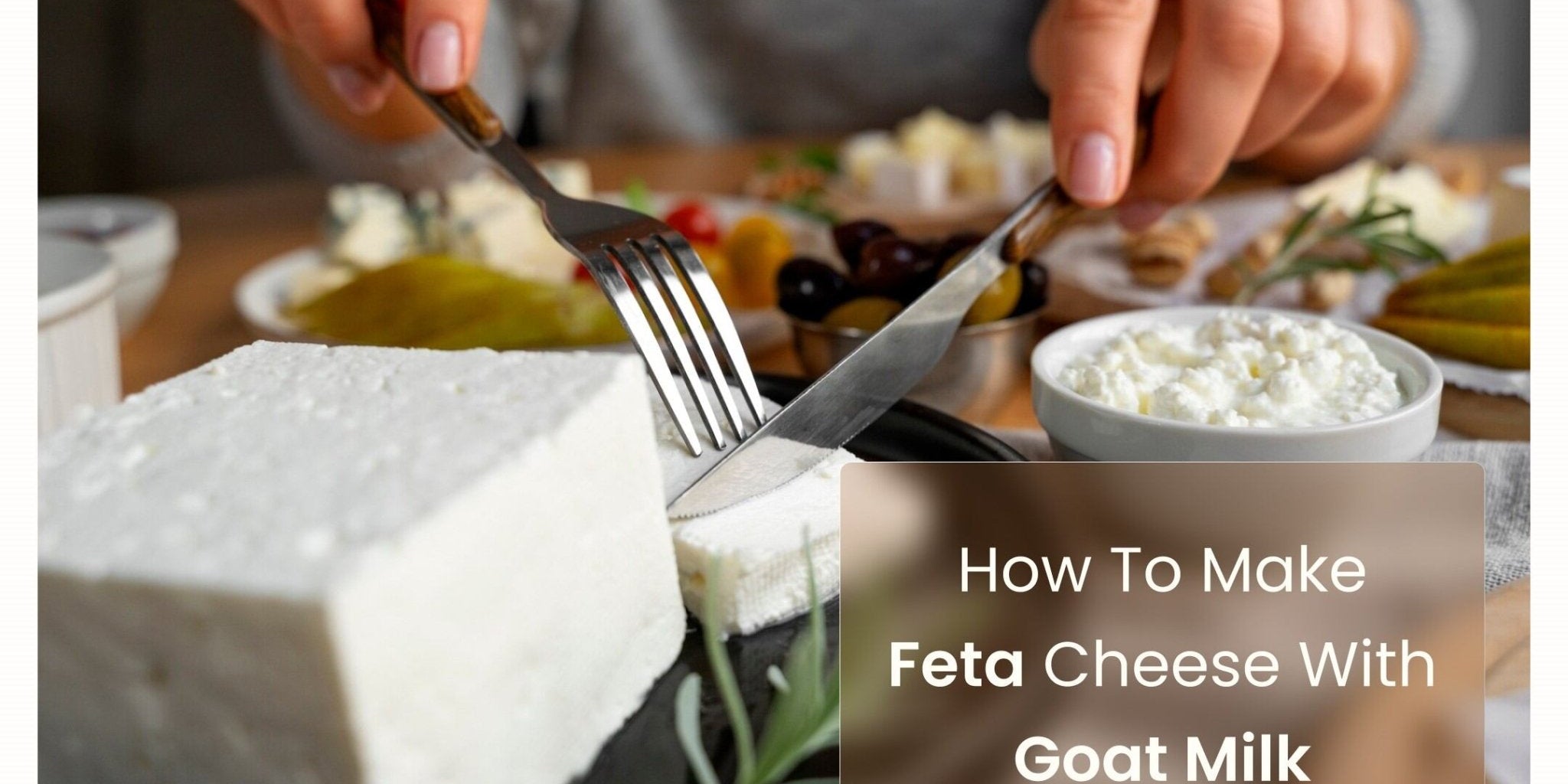 How to Make Feta Cheese with Goat Milk - Courtyard Farms