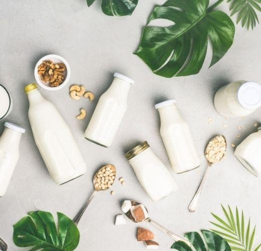 Is It Time To Switch To Goat Milk – The Healthiest Treat? - Courtyard Farms