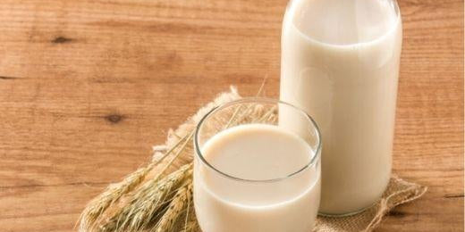 Lactose intolerance- Why lactose intolerant people should try goat milk? - Courtyard Farms