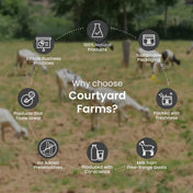 why choose Courtyard Farms goat milk fresh cream made from free range goats natural dairy with no added preservatives