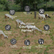 Goat Milk Feta - Courtyard Farms