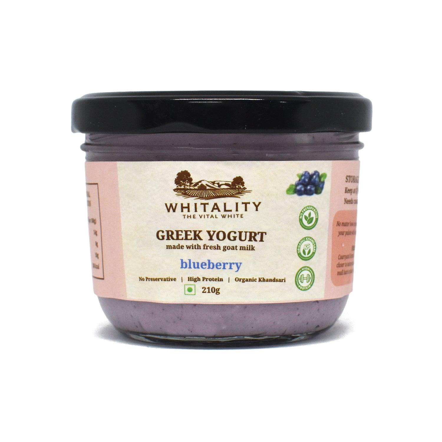 Greek Yogurt Blueberry